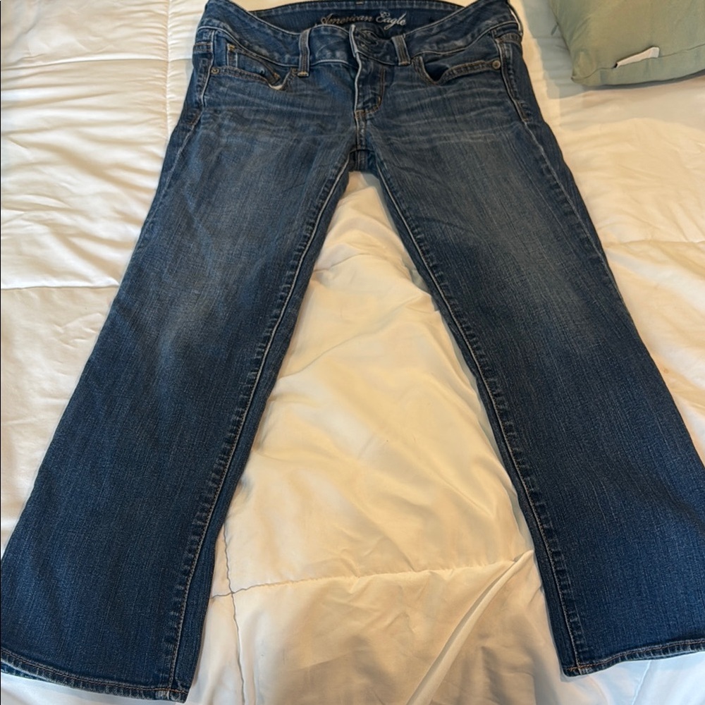 American Eagle Outfitters Ankle Cut Jeans Artist